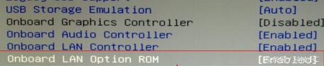 3ɸ㶨Կʾexiting pxe rom