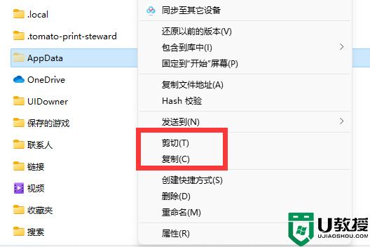 appdata文件太大了可以删除或移动吗